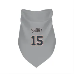 Detroit Tigers Zack Short Gray Pet Bandana for Dog & Cat