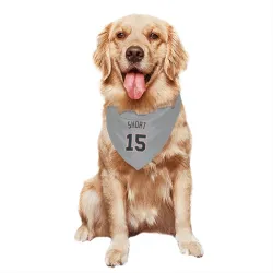 Detroit Tigers Zack Short Gray Pet Bandana for Dog & Cat