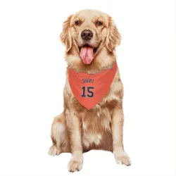 Detroit Tigers Zack Short Orange Pet Bandana for Dog & Cat